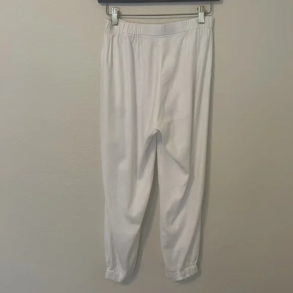 Bream Cotton Linen pants - Babaton/ARITZIA - Picture 4 of 4
